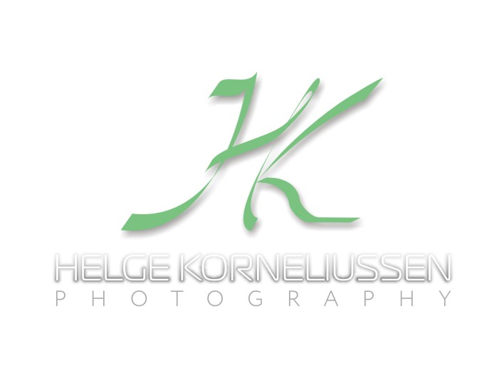 Logo Design by balashov.design for this project | Design #3630624