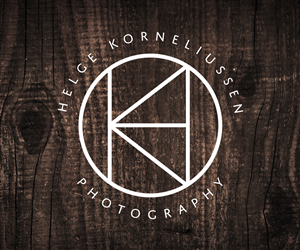Diseño de Logo por sanborn creative para este proyecto | Diseño #3677308