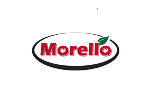 Logo-Design von uniquetarget für Morello | Design: #3608118