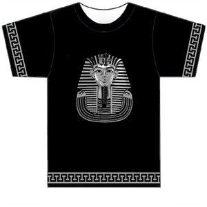 T-Shirt-Design von taranga galappatty für Ridi Business Consulting Kanata | Design #3606012