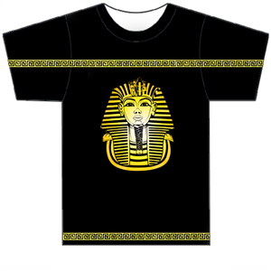 T-shirt Design by taranga galappatty for Ridi Business Consulting Kanata | Design: #3606014