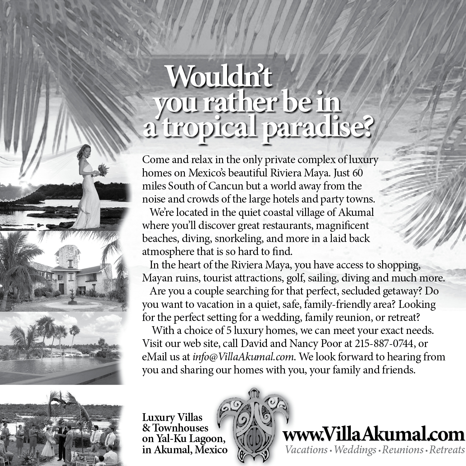 Diseño Publicitario por Peter Nam para www.VillaAkumal.com | Diseño #100060