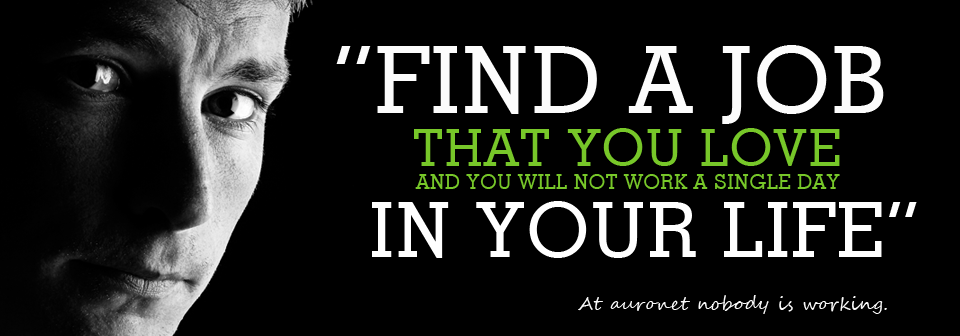 Banner Ad Design by neboica for auronet GmbH | Design #908832