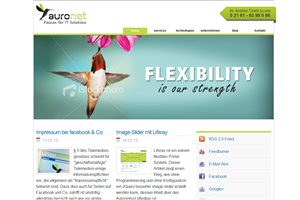 Banner Ad Design by neboica for auronet GmbH | Design: #921525