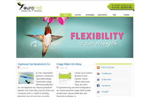 Banner Ad Design by neboica for auronet GmbH | Design: #921527