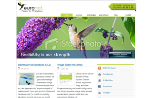 Banner Ad Design by neboica for auronet GmbH | Design: #923817