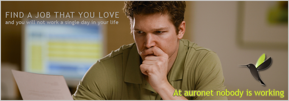 Banner Ad Design by susi007 for auronet GmbH | Design #915595