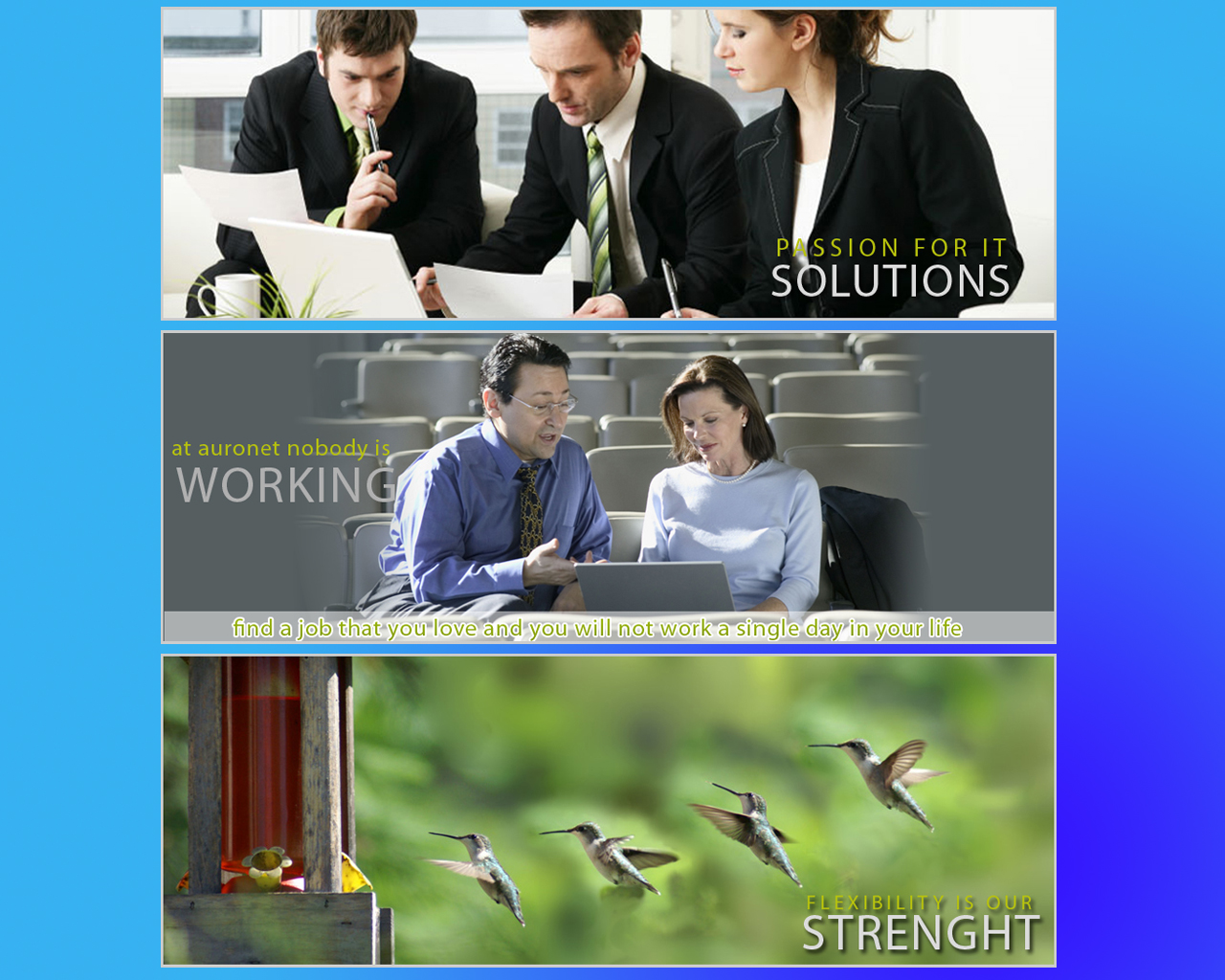 Banner Ad Design by susi007 for auronet GmbH | Design #925164