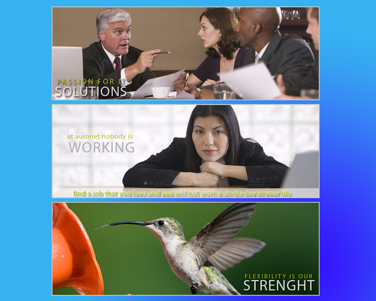 Banner Ad Design by susi007 for auronet GmbH | Design #925547