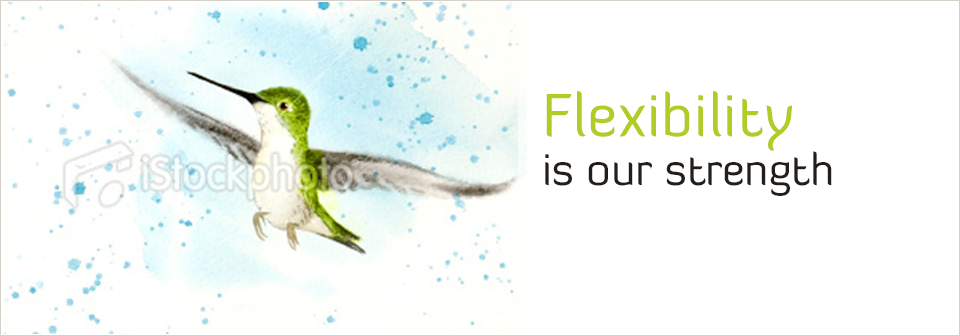 Banner Ad Design by yadunath for auronet GmbH | Design #919523