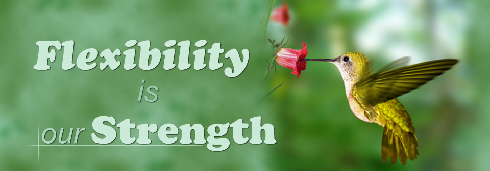 Banner Ad Design by dzinelabs for auronet GmbH | Design #922002