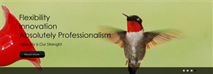 Banner Ad Design by Attak for auronet GmbH | Design: #923865