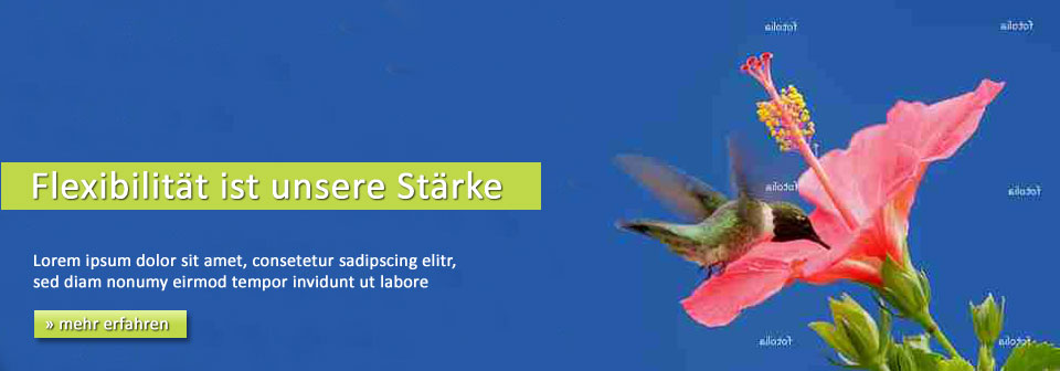 Banner Ad Design by nana36 for auronet GmbH | Design #919927