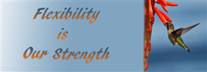 Banner Ad Design by Divya Sareen for auronet GmbH | Design: #922428