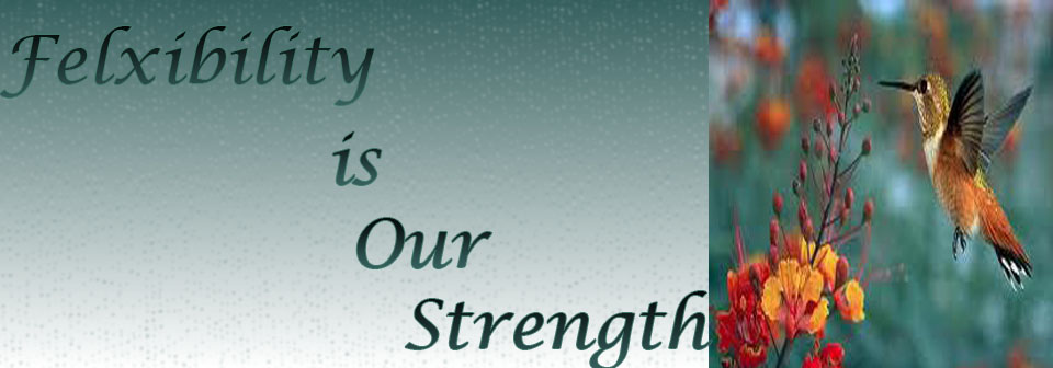Banner Ad Design by Divya Sareen for auronet GmbH | Design #922505