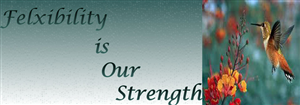 Banner Ad Design by Divya Sareen for auronet GmbH | Design: #922505