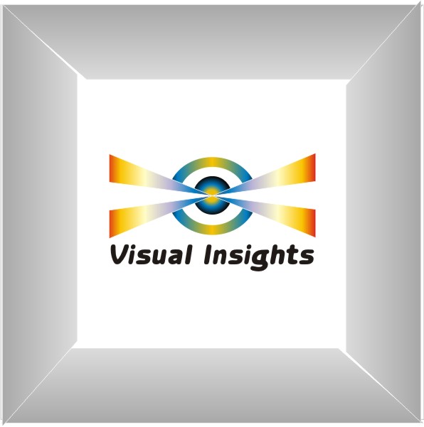 Logo Design by Cristian Muresan for Visual Insights | Design #98166