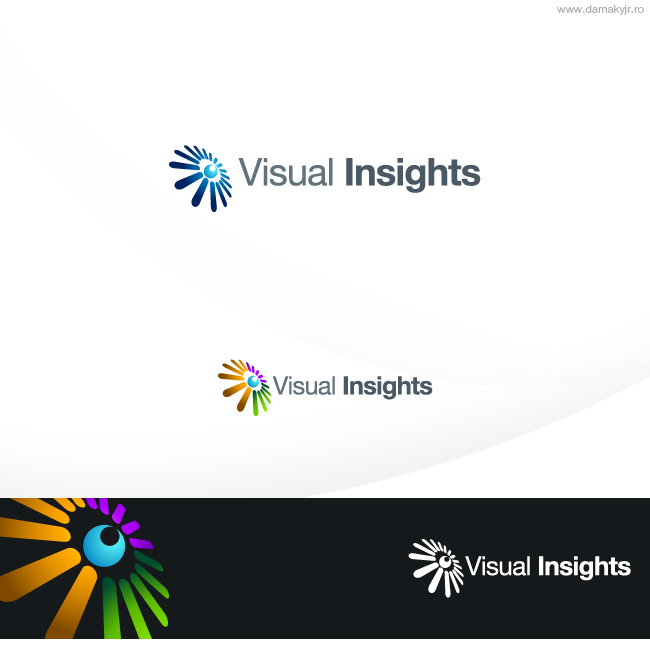 Logo Design by damakyjr for Visual Insights | Design #107672