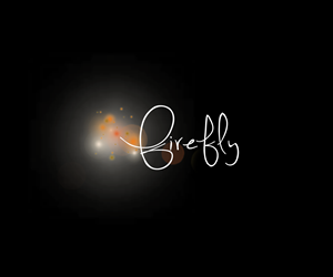 Logo Design by Lovely Claire for Firefly Photography | Design: #3639744