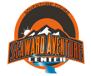 Logo Design by Dunkah63