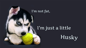 T-shirt Design by Foulyz for Turning Heads Kennel LLC | Design #3670371