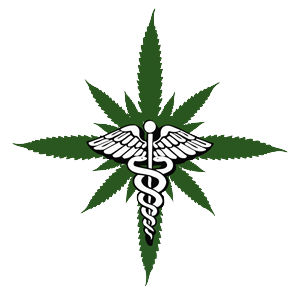 Logo Design by M2D2 for this project | Design: #3613145