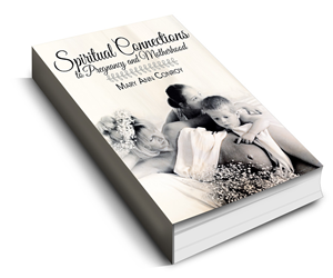 Book Cover Design by isabel paoli for this project | Design: #3626482