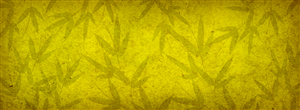 Website Banner SKINS needed | Banner-Design von neboica