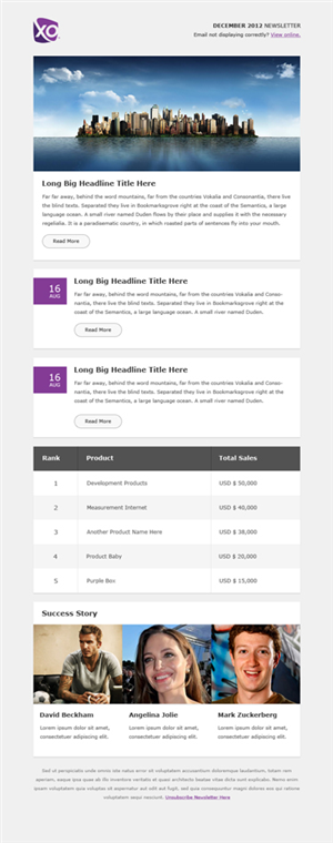 Newsletter Design by Budi Tanrim