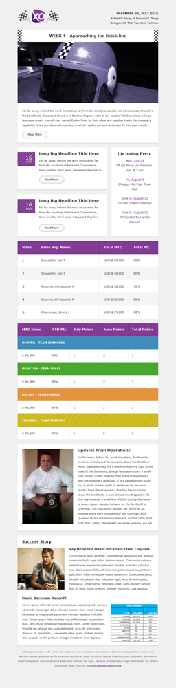 Newsletter Design by Budi Tanrim for this project | Design #907975
