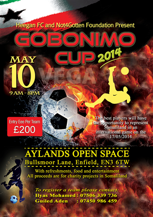 Flyer Design by VEGA-Designs