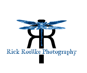 Logo Design by Cloud9 Design