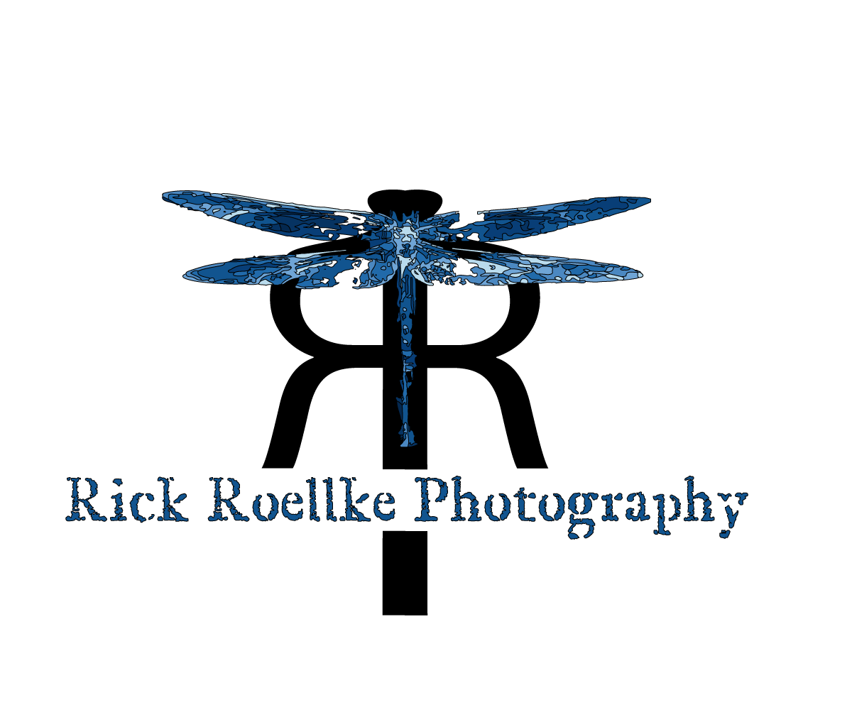 Logo Design by Cloud9 Design for this project | Design #3650782