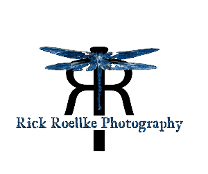 Logo Design by Cloud9 Design for this project | Design: #3650782