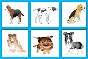 Illustration Design by touqeer21 for Studio Tectonic | Design: #3657354