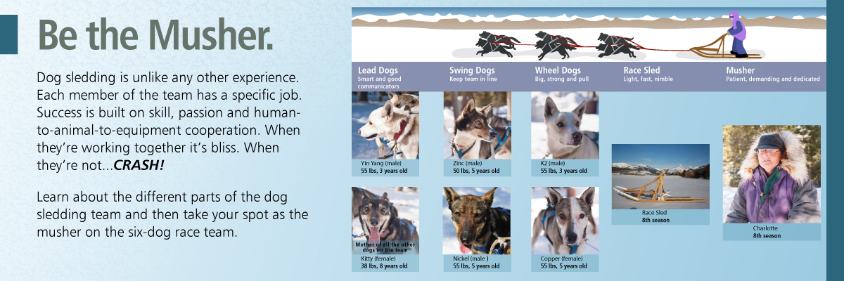 Illustration Design by dxp for Studio Tectonic | Design #3650550