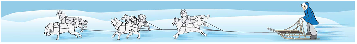 Illustration Design by alice for Studio Tectonic | Design #3640749