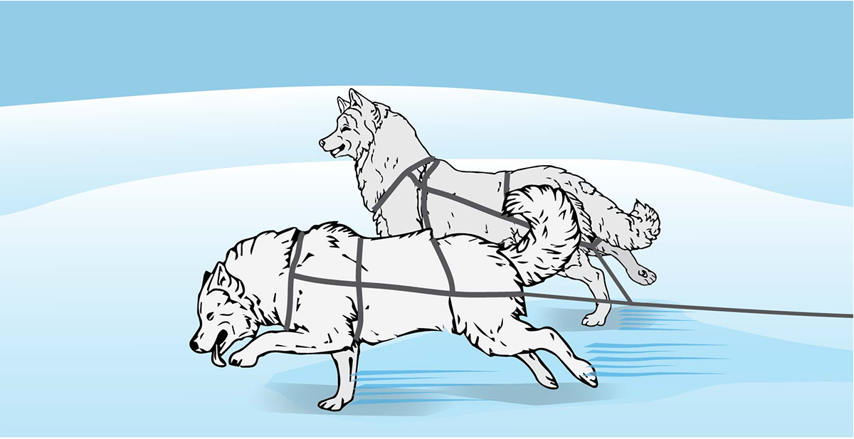 Illustration Design by alice for Studio Tectonic | Design #3640779