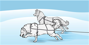 Illustration Design by alice for Studio Tectonic | Design: #3640779