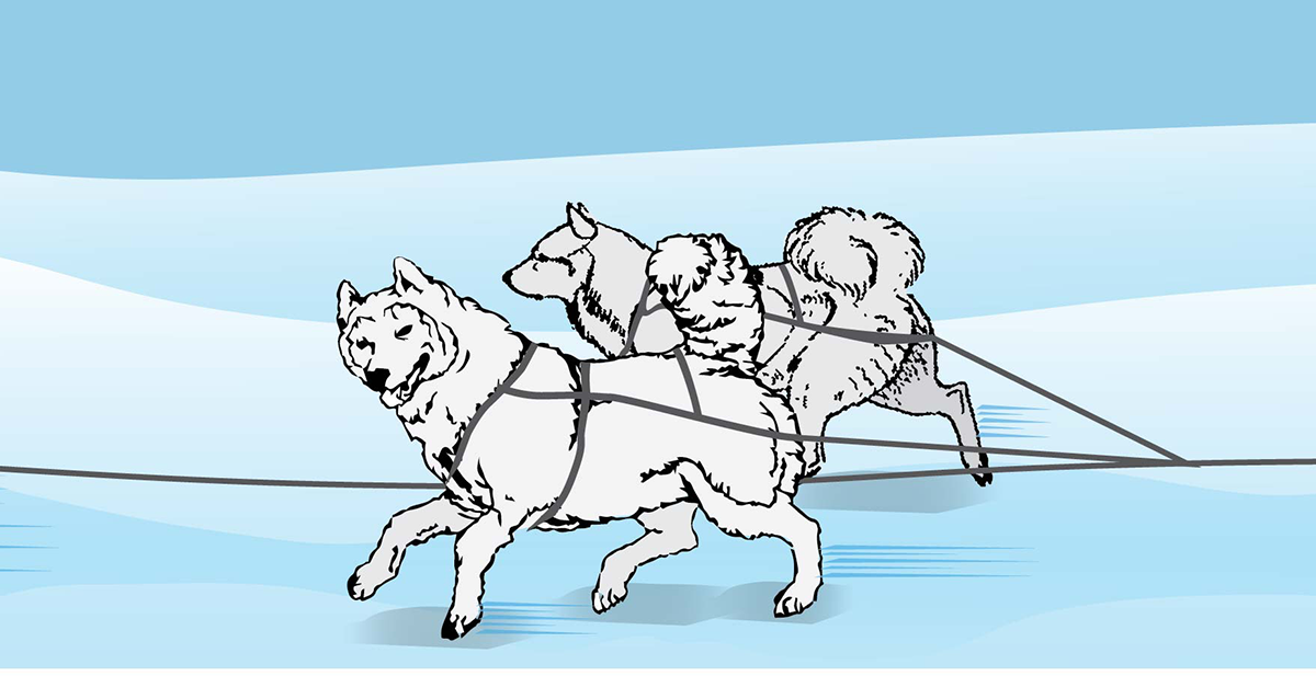 Illustration Design by alice for Studio Tectonic | Design #3640783