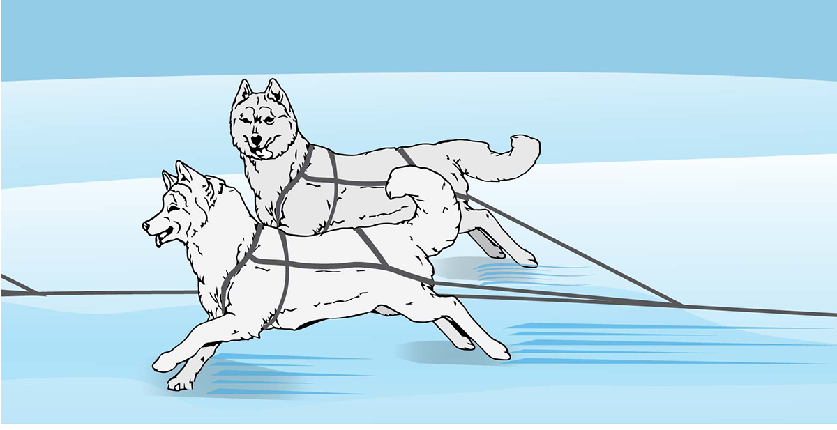 Illustration Design by alice for Studio Tectonic | Design #3640786