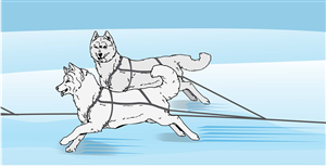 Illustration Design by alice for Studio Tectonic | Design: #3640786