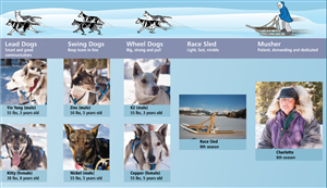 Illustration Design by alice for Studio Tectonic | Design: #3684858