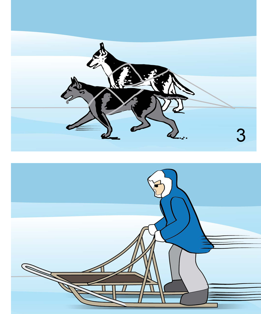 Illustration Design by alice for Studio Tectonic | Design #3684861