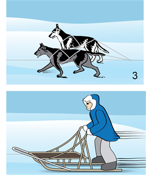 Illustration Design by alice for Studio Tectonic | Design: #3684861