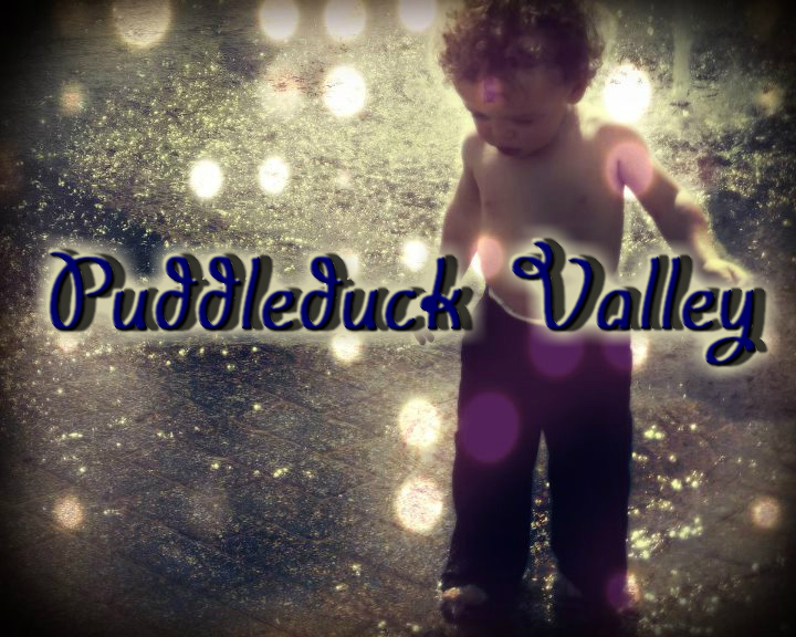 Logo Design by Velma Giggle Wink for Puddleduck Valley | Design #913602