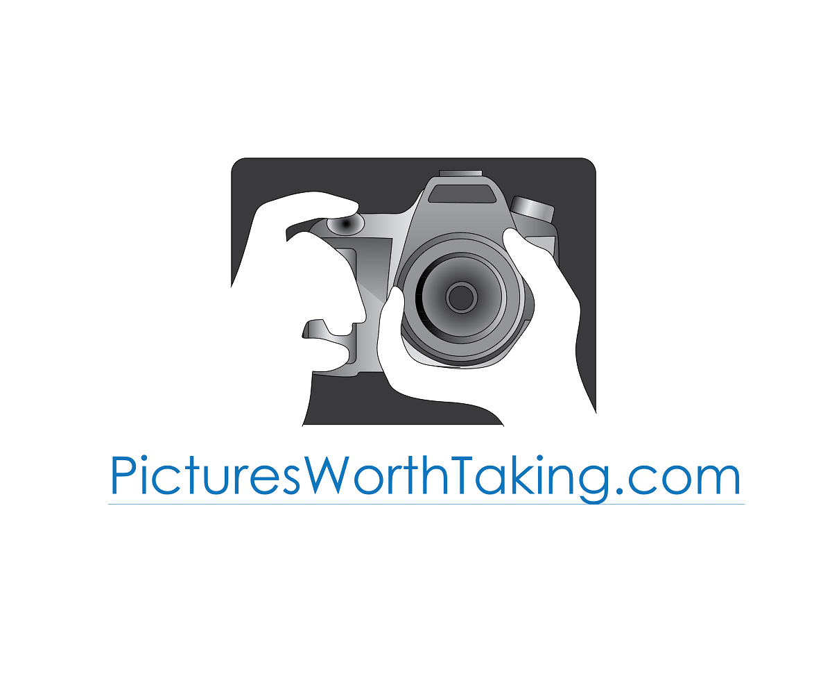 Logo Design by Matrend for this project | Design #3660247