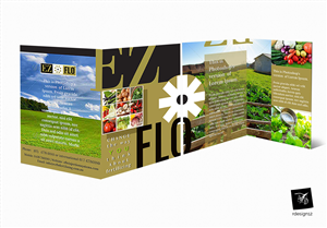 Brochure Design by rdesign12