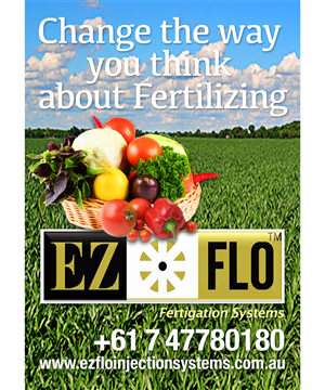 Brochure Design by Peterwilldesign