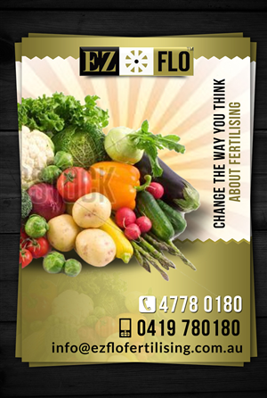 Brochure Design by ESolz Technologies